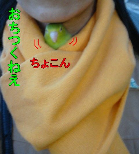 DSC05592-1