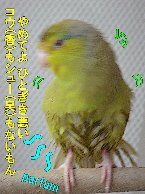 DSC06379-1