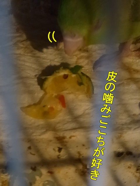 RIMG1657-1