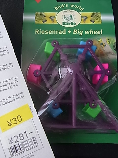 RIMG8157