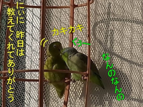 RIMG1778-4