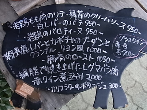 RIMG2236
