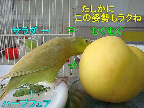 DSC06468-1