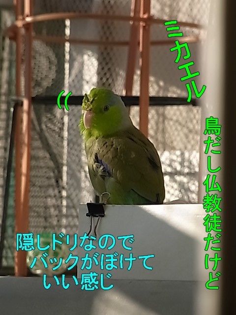 RIMG1791-3