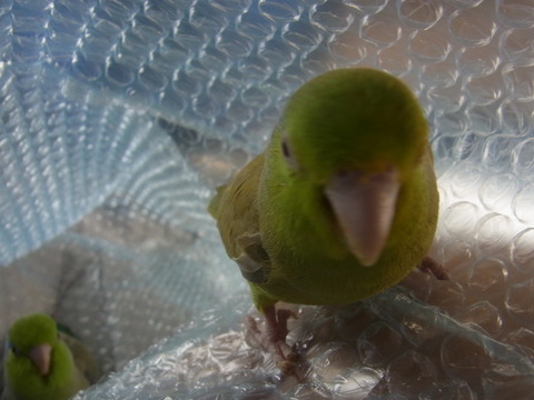 R0023115