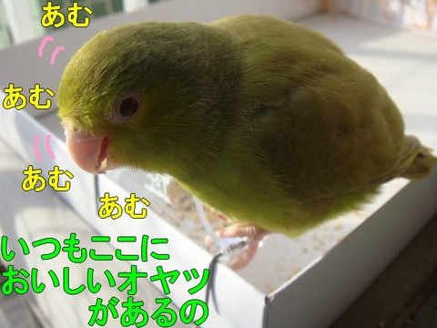 DSC05537-1