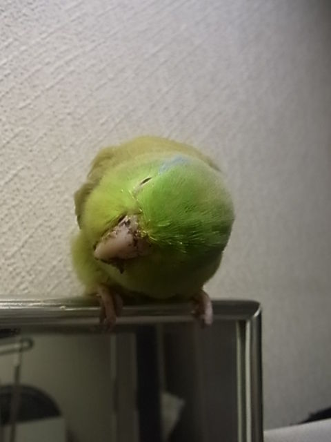 RIMG7755
