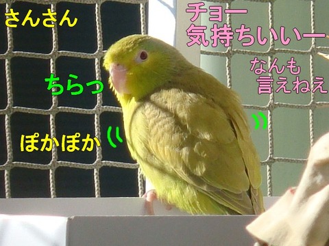 DSC05580-1