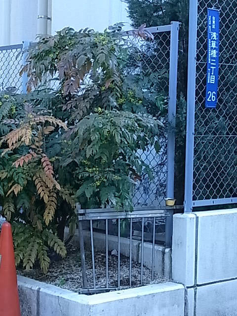 RIMG3434