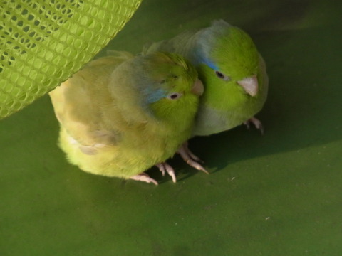 R0022449