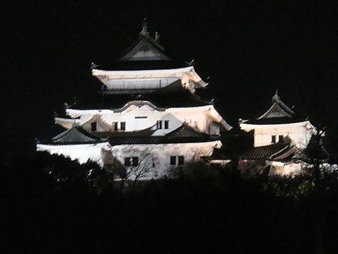 DSC05954-1