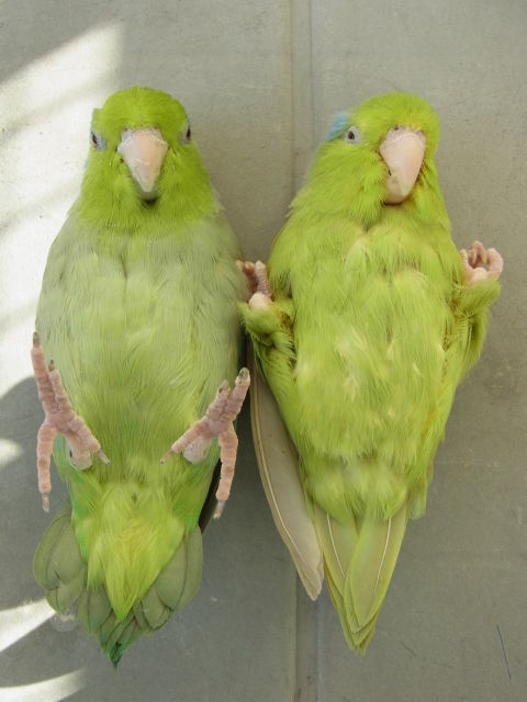 R0021142
