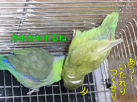 RIMG1806-3