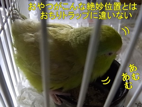 RIMG1319-1