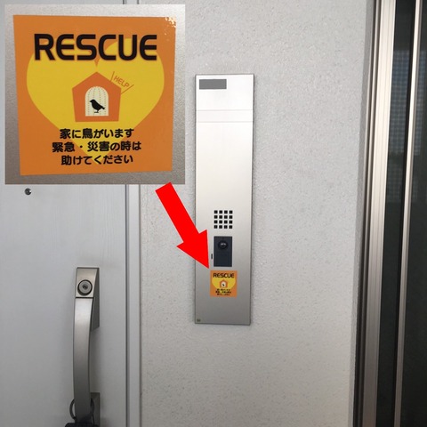S__4145485_20160804まめる-1
