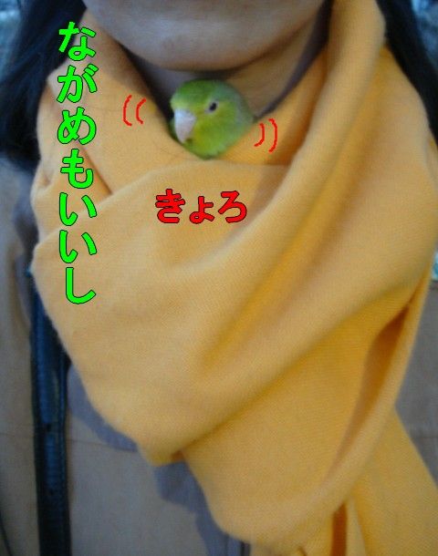DSC05593-1