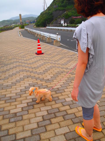 7月3