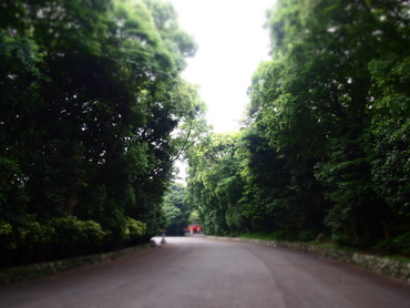 P5307907