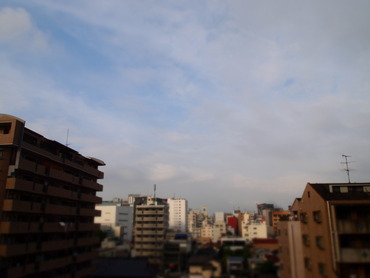 P6285439