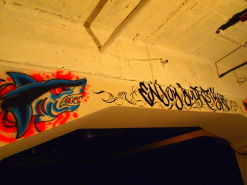 P8282792
