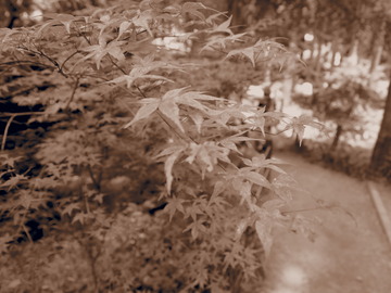 P8042644