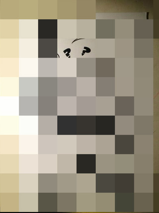 BlogPaint
