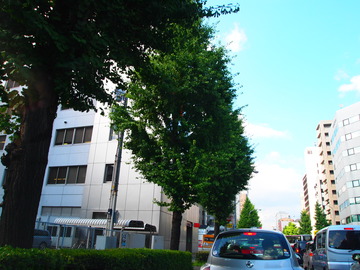 P6282298