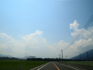 P8185905