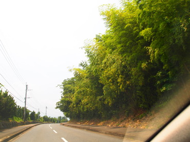 P7265628