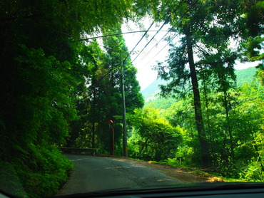P7265631