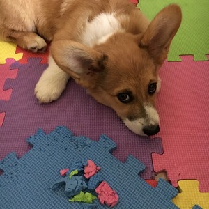 4301