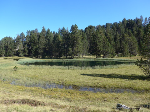 L1050169