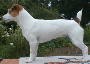 saku08