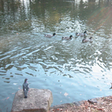 25.05
