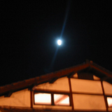23.06