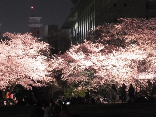 blog-20180330-07