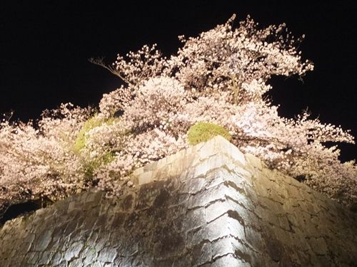 blog-20180330-05