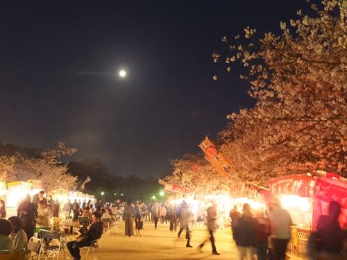 blog-20180330-03