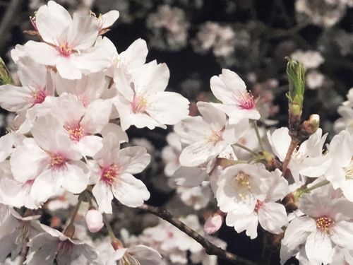 blog-20180330-02new