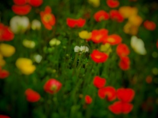 050620+.jpg