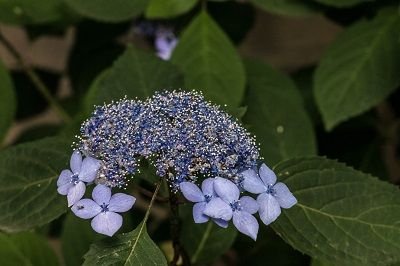 IMG_0088-1-l