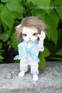 littlebloom
