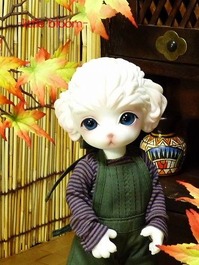 littlebloom