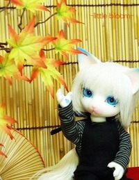 littlebloom
