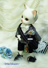 littlebloom