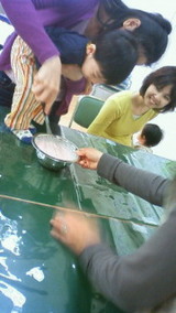 201004191507003