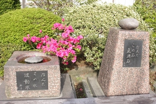 nanasawa2
