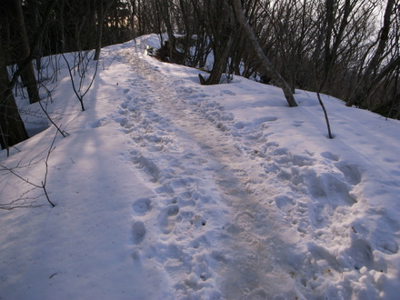 R0013894