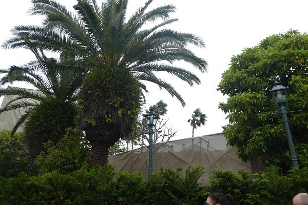 421　パーティグラ