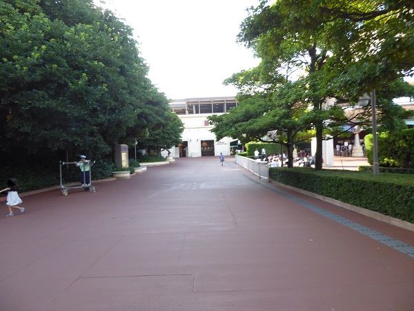 249 シーアーリー